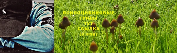 MDMA Няндома