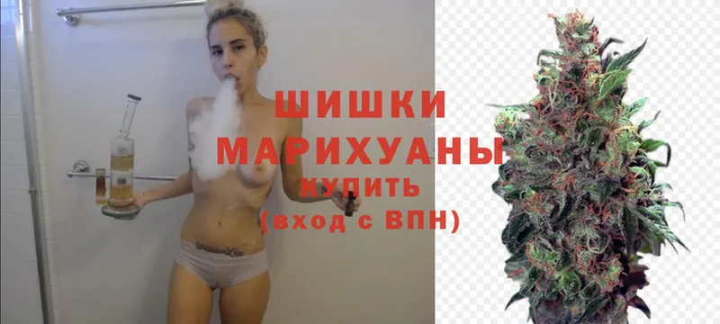 MEGA зеркало  Киселёвск  Бошки марихуана White Widow 